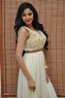 Sanam Shetty Photos at Srimanthudu Audio Release